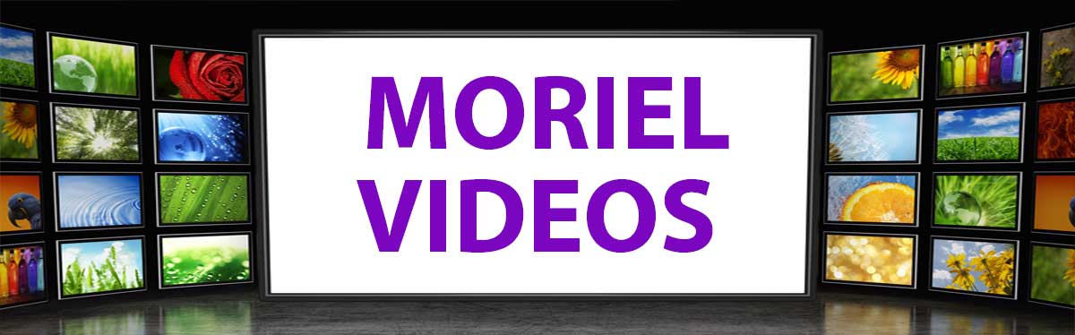 Moriel Videos